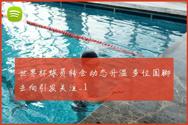 世界杯球员转会动态升温 多位国脚去向引发关注_1